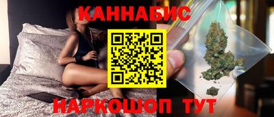 jwh Гатчина