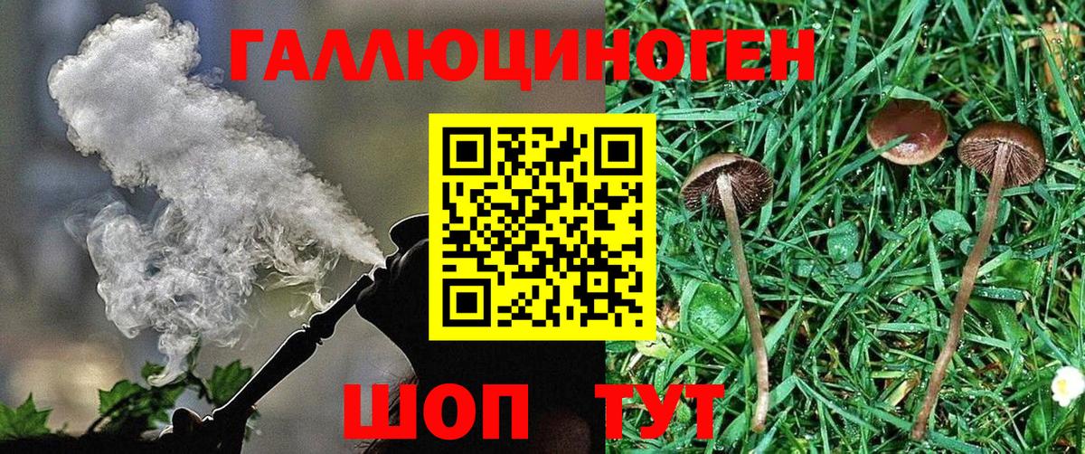 Галлюциногенные грибы Psilocybine cubensis  Вход с VPN  хочу   Псилоцибиновые грибы ЛСД  Нижний Новгород 