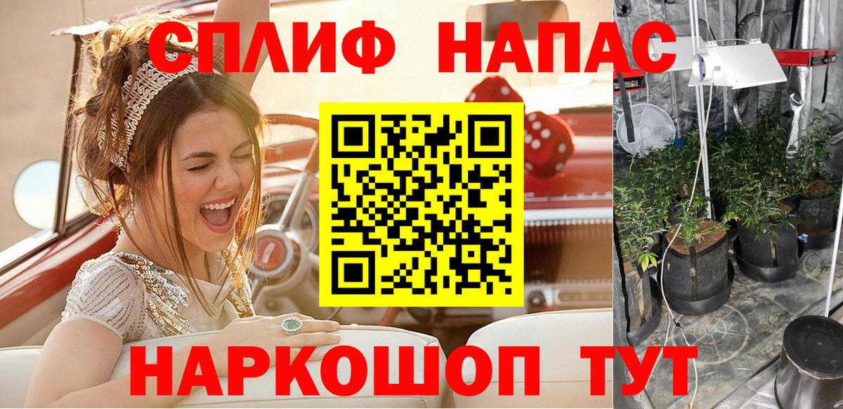 Канабис план Нижний Новгород